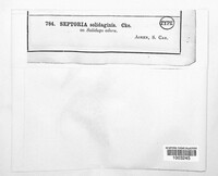 Image Associated With the Occurence